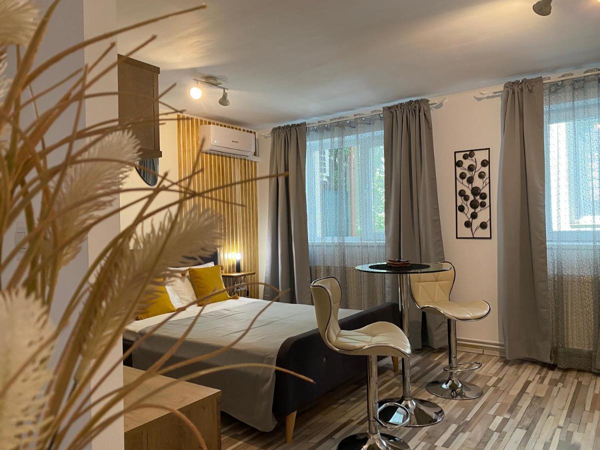 Urseni Studio Apartment Τιμισοάρα Εξωτερικό φωτογραφία