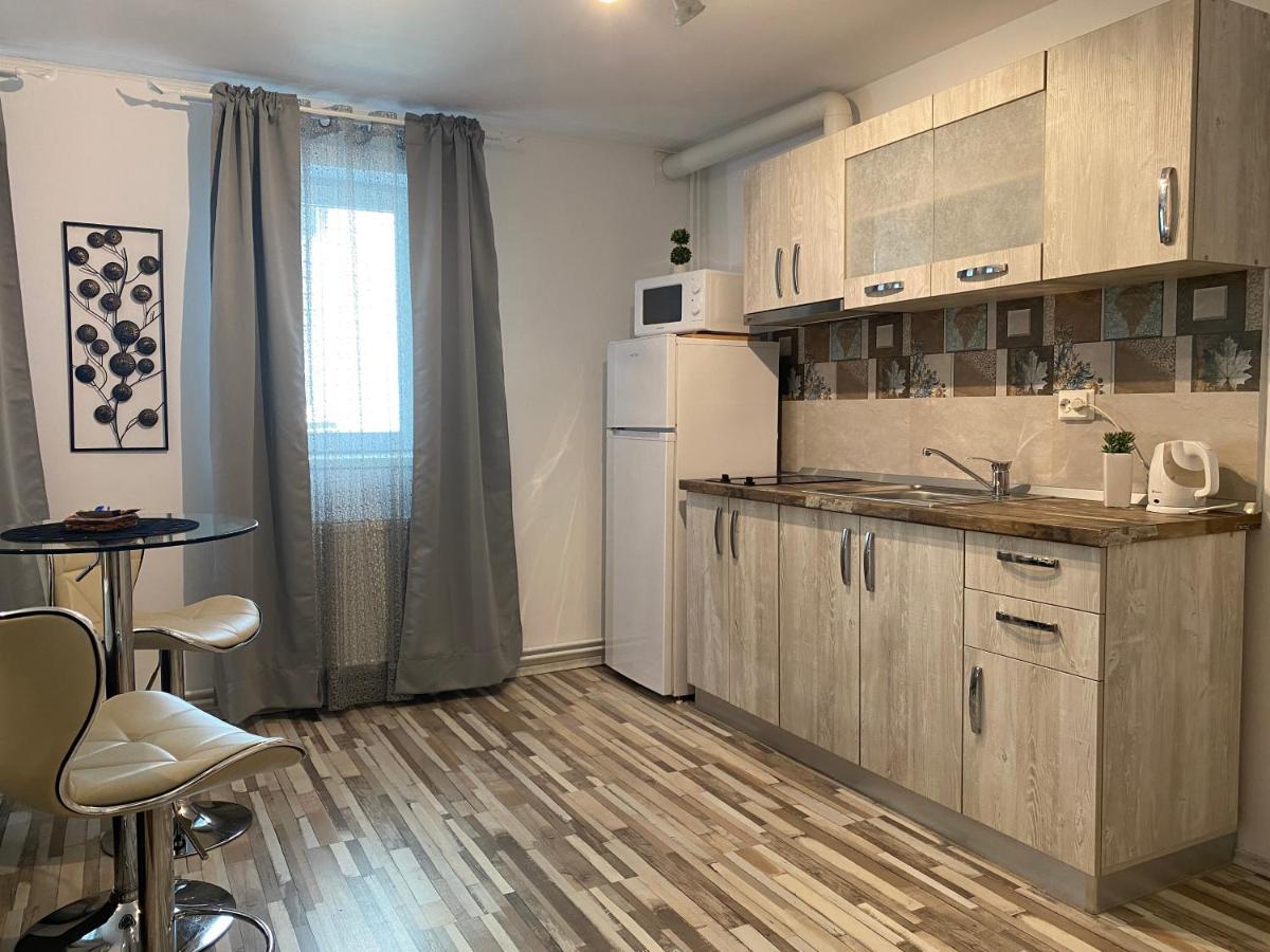 Urseni Studio Apartment Τιμισοάρα Εξωτερικό φωτογραφία