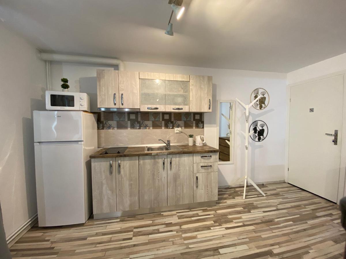 Urseni Studio Apartment Τιμισοάρα Εξωτερικό φωτογραφία
