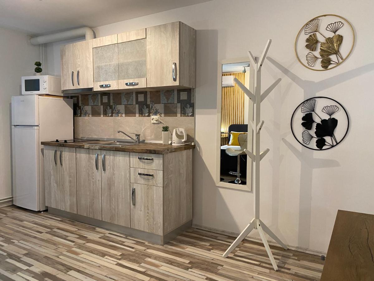 Urseni Studio Apartment Τιμισοάρα Εξωτερικό φωτογραφία